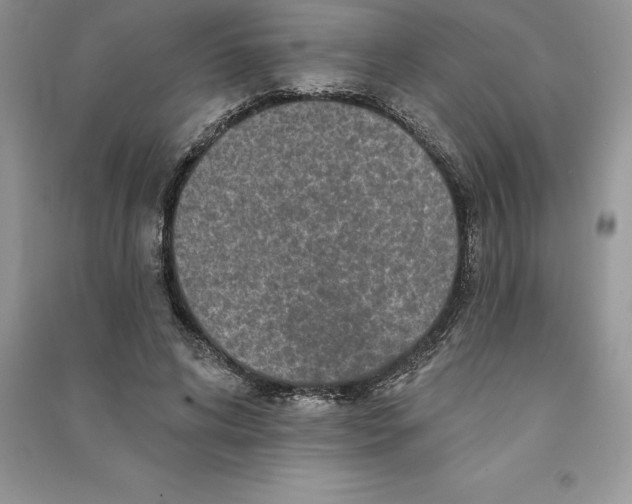 X0000090610592200708141353