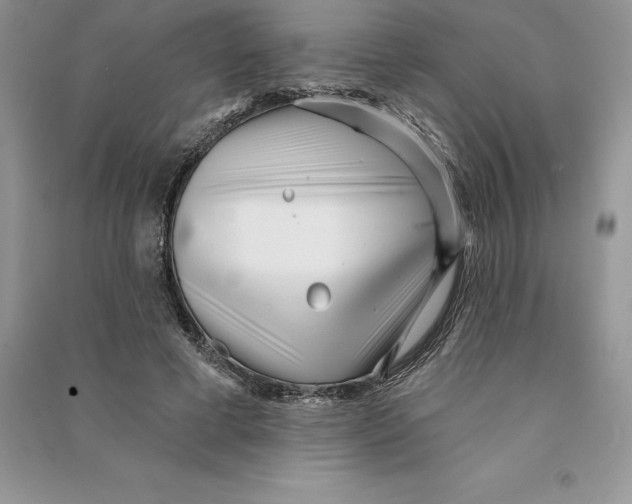 X0000090610593200708141353