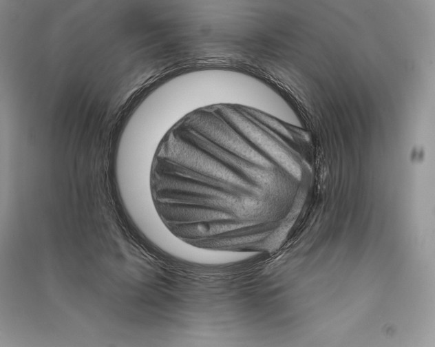 X0000090610595200708141353