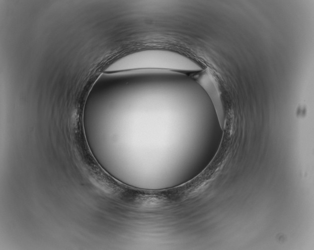 X0000090610597200708141353