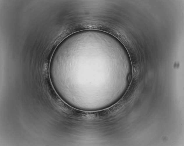 X0000090610598200708141353