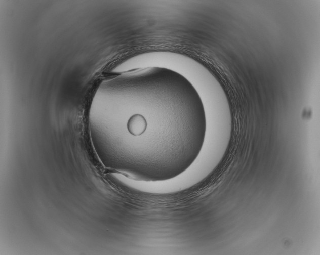 X0000090610599200708141353