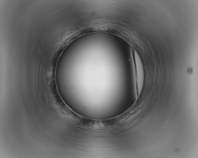 X0000090610600200708141353