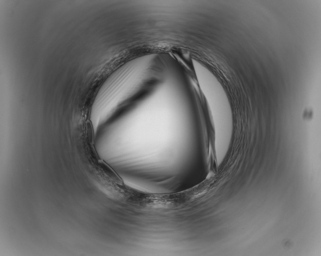 X0000090610601200708141353