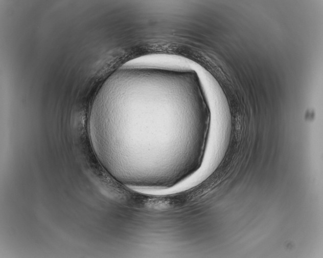 X0000090610602200708141353