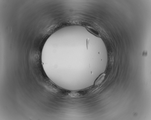 X0000090610603200708141353