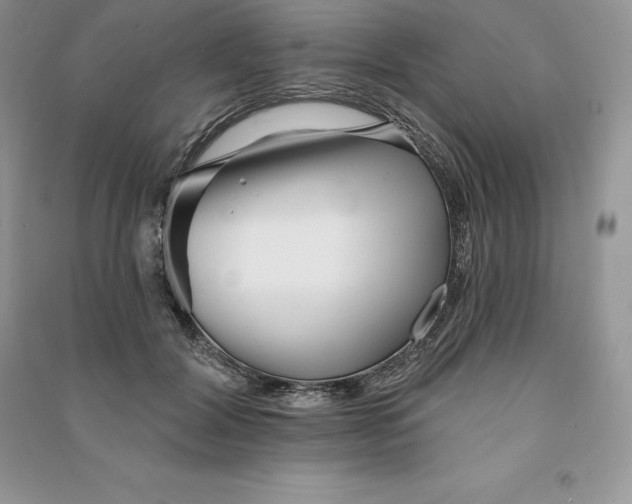 X0000090610604200708141353