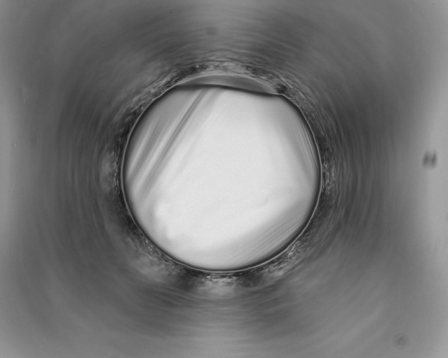 X0000090610606200708141353