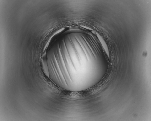 X0000090610608200708141353