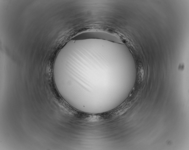 X0000090610609200708141352