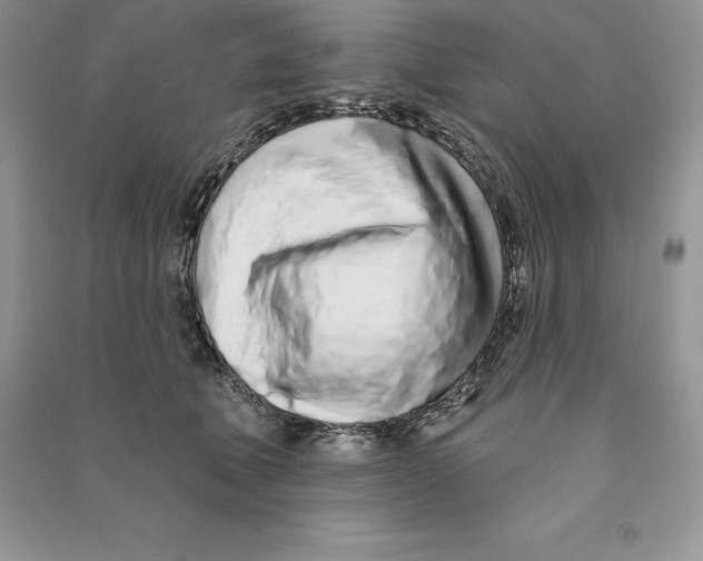 X0000090610610200708141352