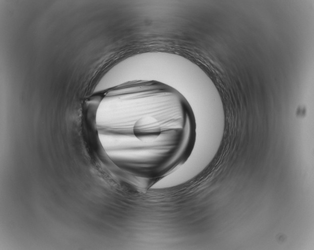 X0000090610611200708141352