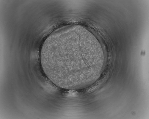 X0000090610612200708141352