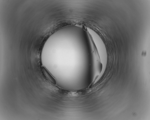 X0000090610613200708141352