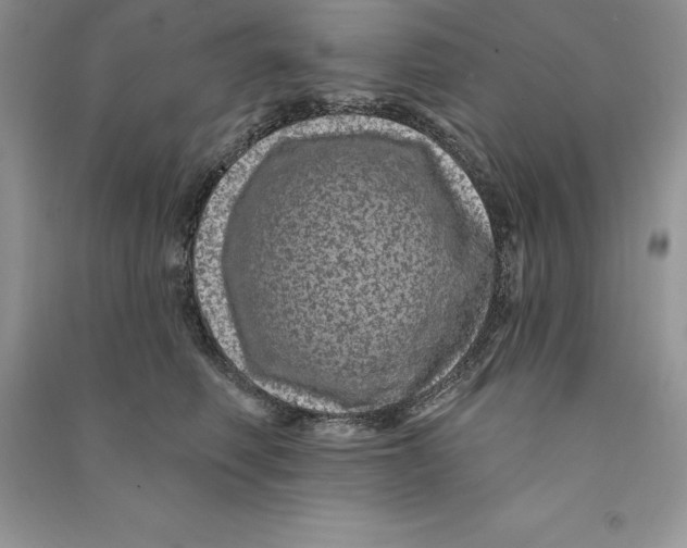 X0000090610614200708141352