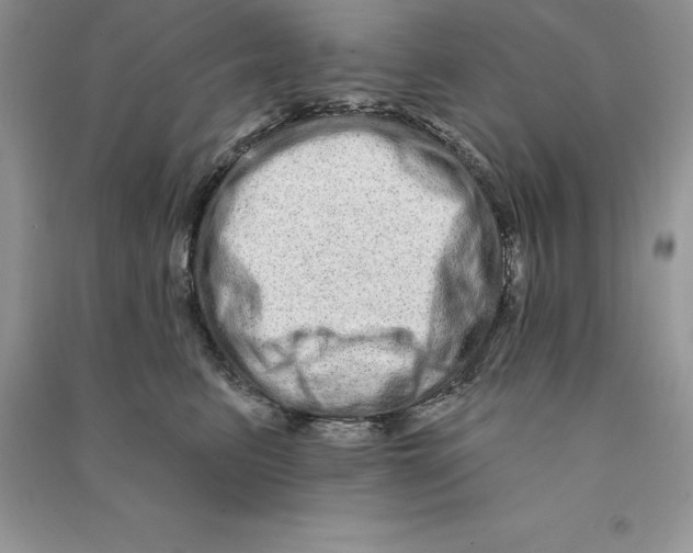 X0000090610615200708141352