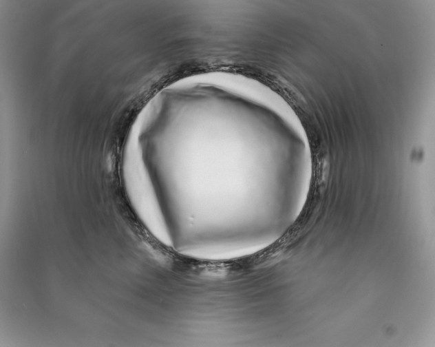 X0000090610618200708141352