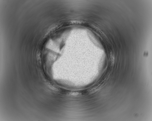 X0000090610619200708141352