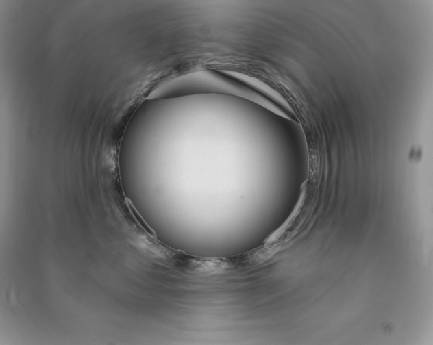 X0000090610621200708141352