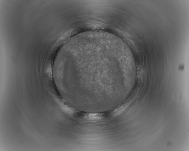 X0000090610622200708141352