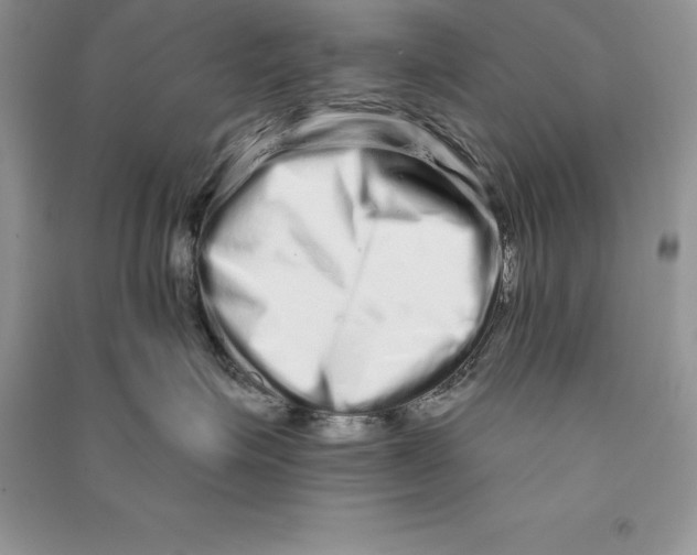 X0000090610623200708141352