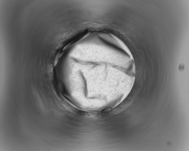 X0000090610624200708141352