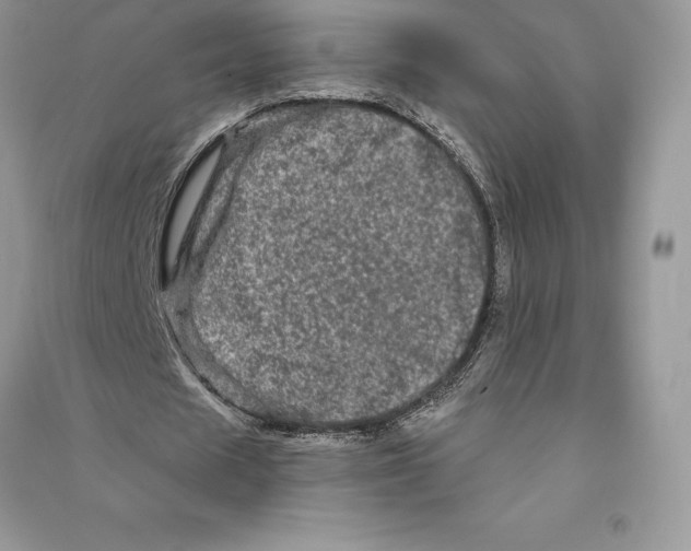 X0000090610625200708141352