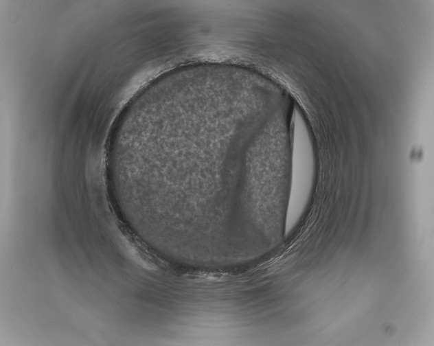 X0000090610626200708141352