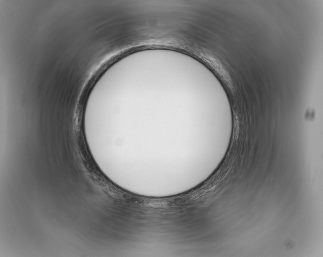 X0000090610628200708141352