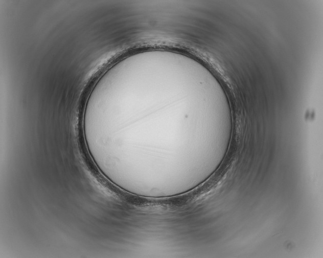 X0000090610629200708141352