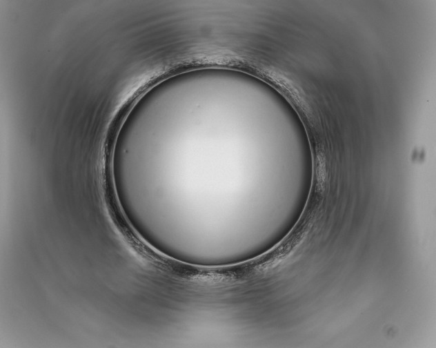 X0000090610630200708141352