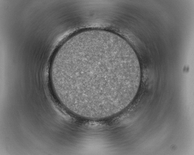 X0000090610632200708141352