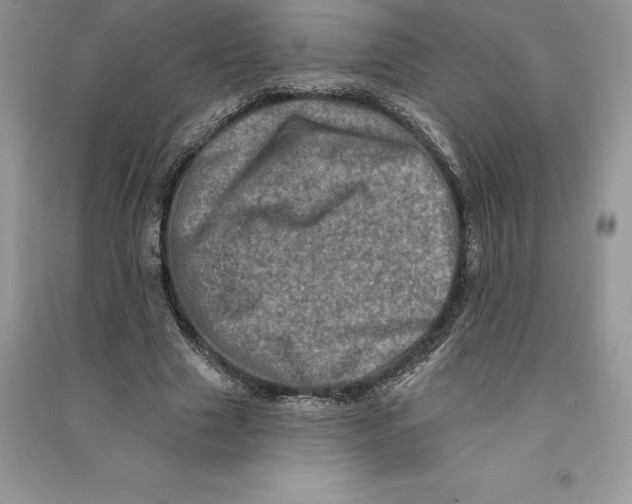 X0000090610633200708141352