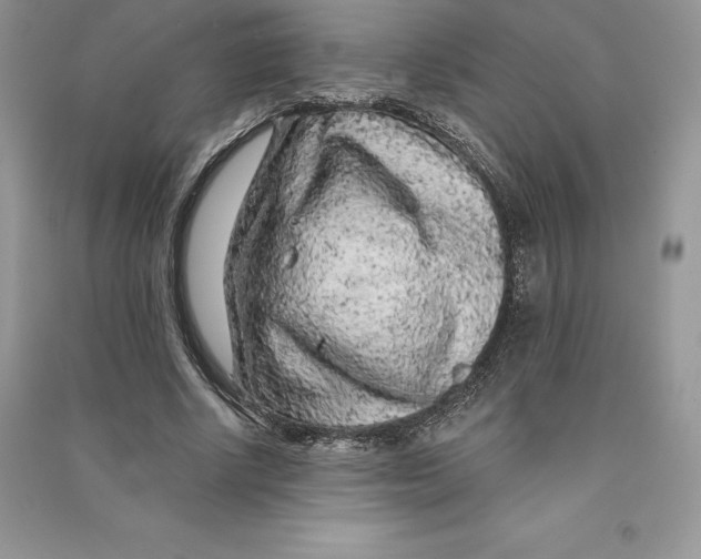 X0000090610634200708141352