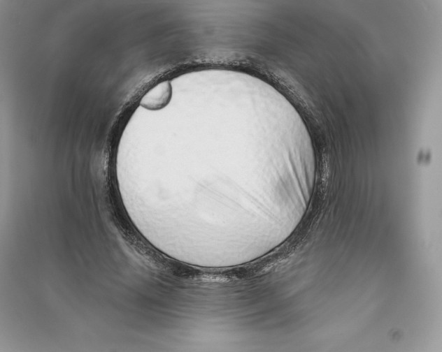 X0000090610636200708141352