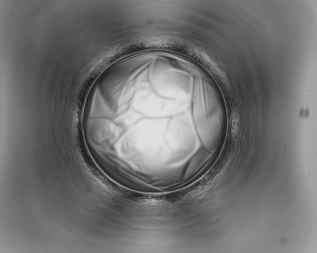 X0000090610637200708141352