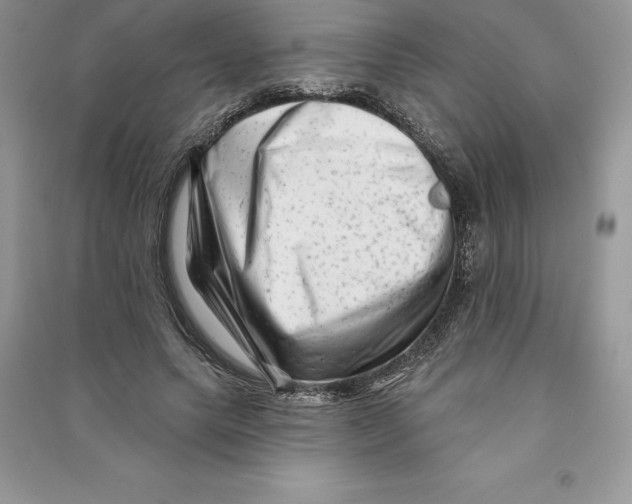 X0000090610639200708141352