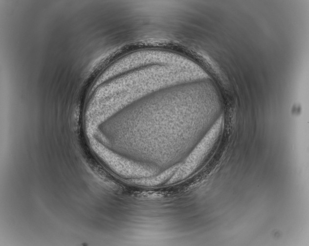 X0000090610640200708141352