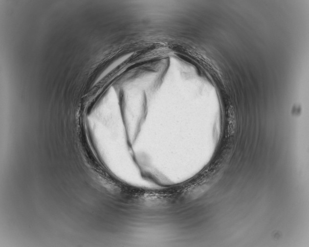 X0000090610641200708141352