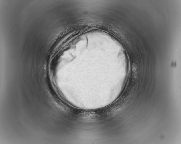 X0000090610642200708141352