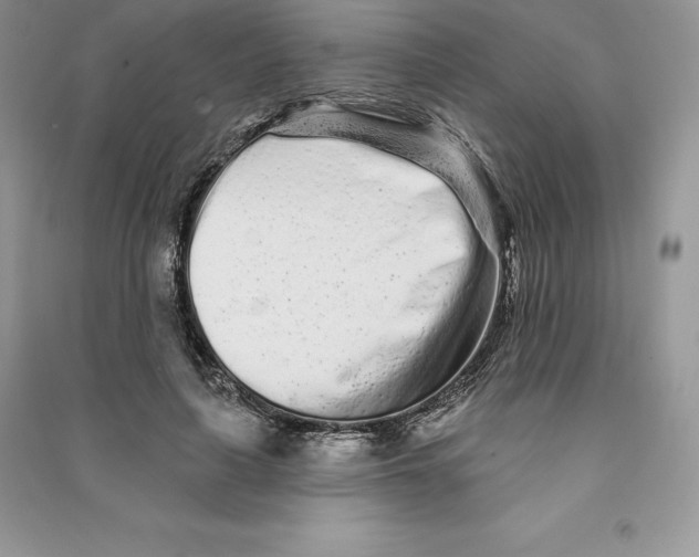 X0000090610643200708141352