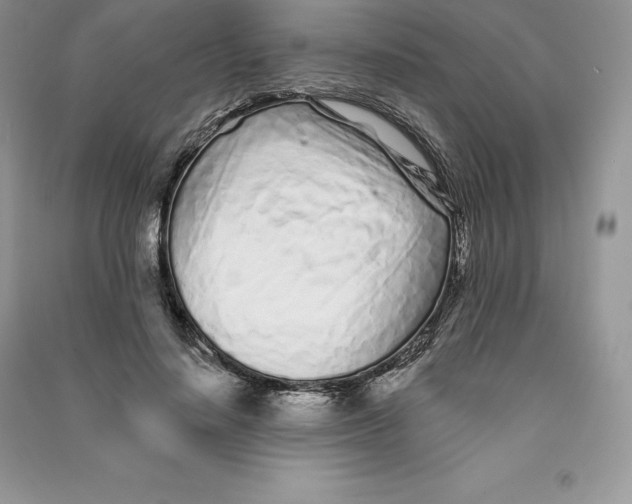 X0000090610644200708141352