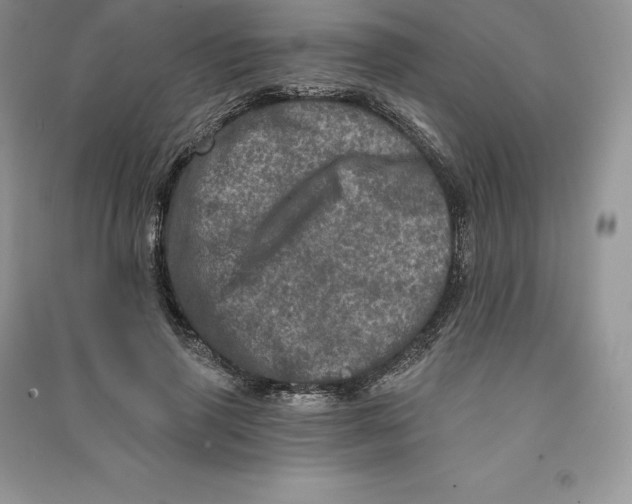 X0000090610645200708141352