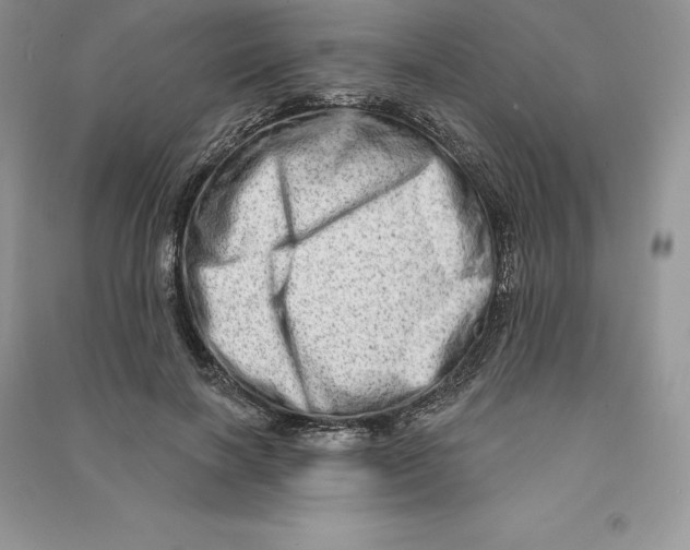 X0000090610646200708141352