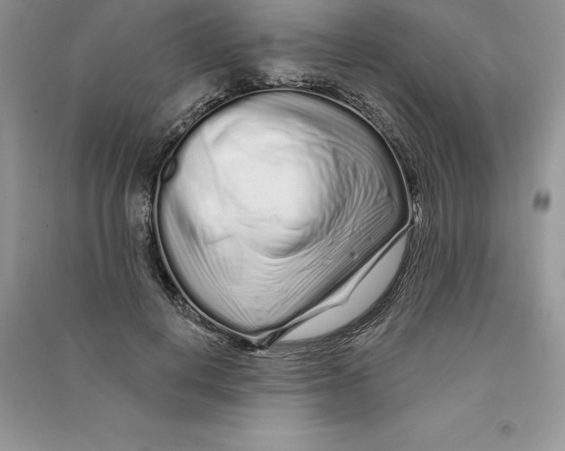 X0000090610648200708141352