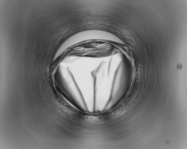 X0000090610649200708141352