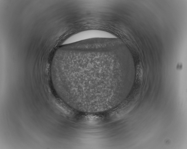 X0000090610650200708141352