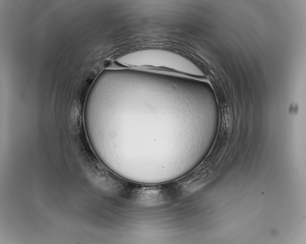 X0000090610651200708141352