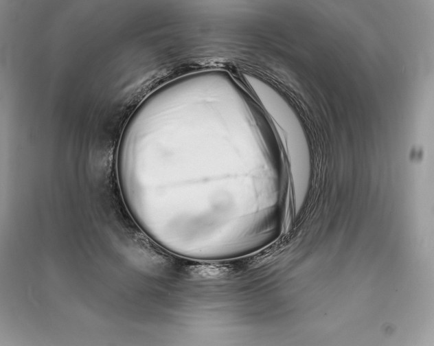 X0000090610652200708141352