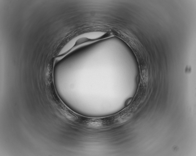 X0000090610653200708141352